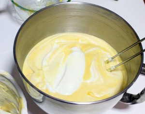 mousse-mango-17-1